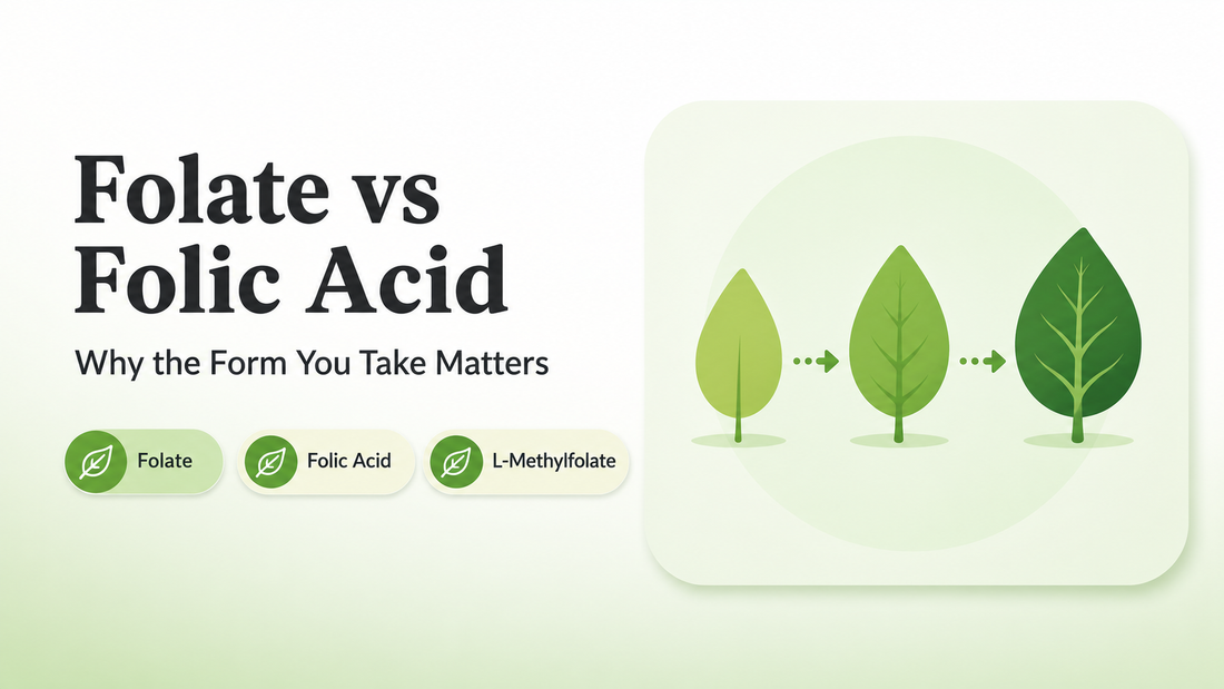 Folate vs Folic Acid: Why the Form You Take Matters